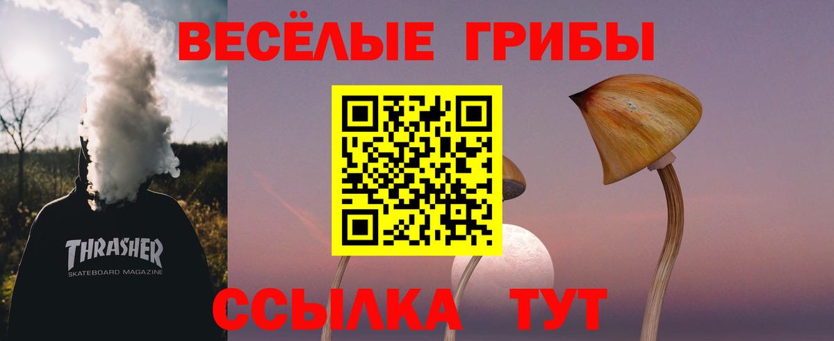 Псилоцибиновые грибы мицелий Калач-на-Дону